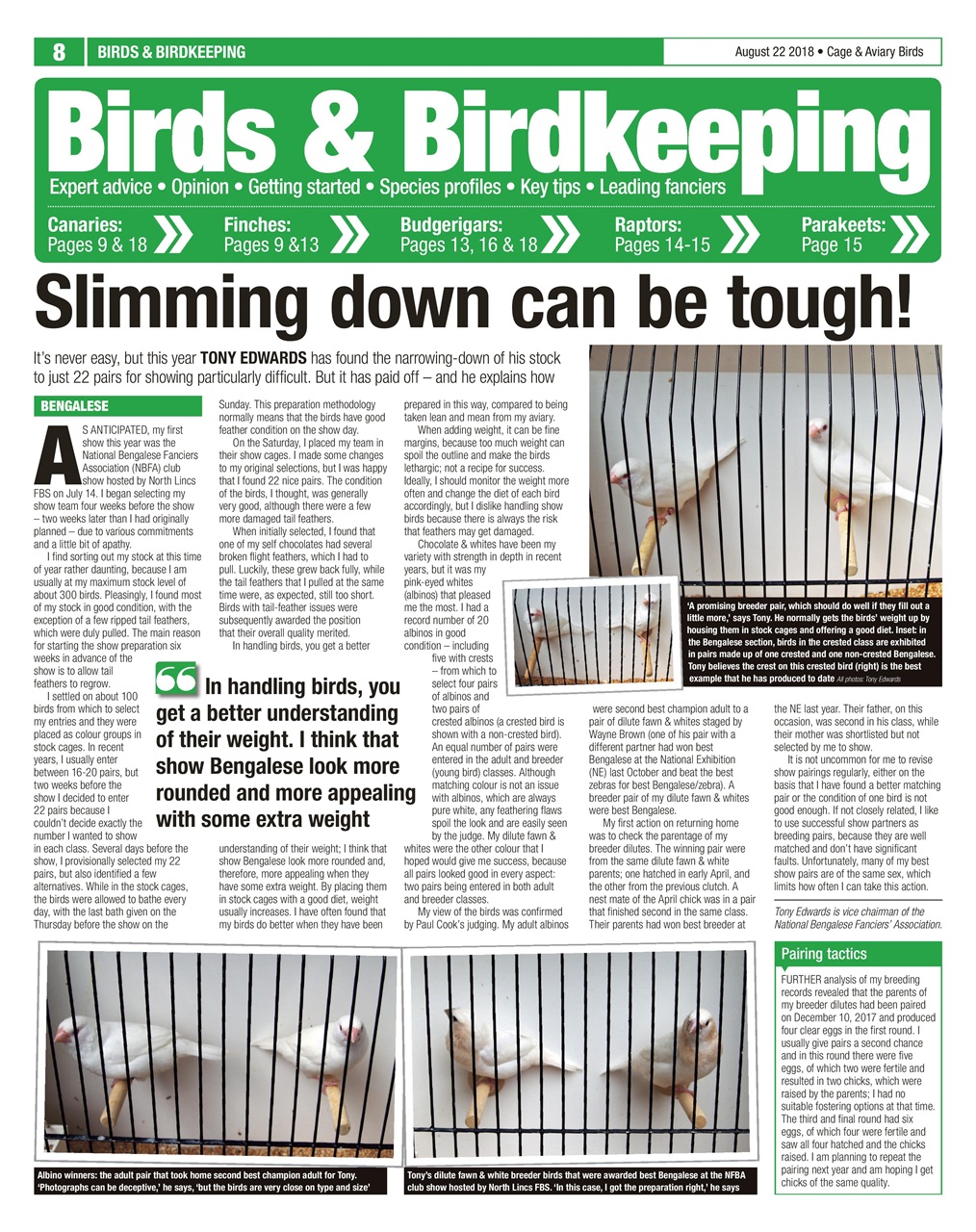 Cage & Aviary Birds Preview Pages