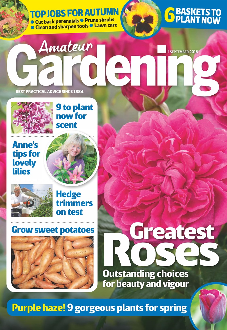 Amateur Gardening Preview Pages