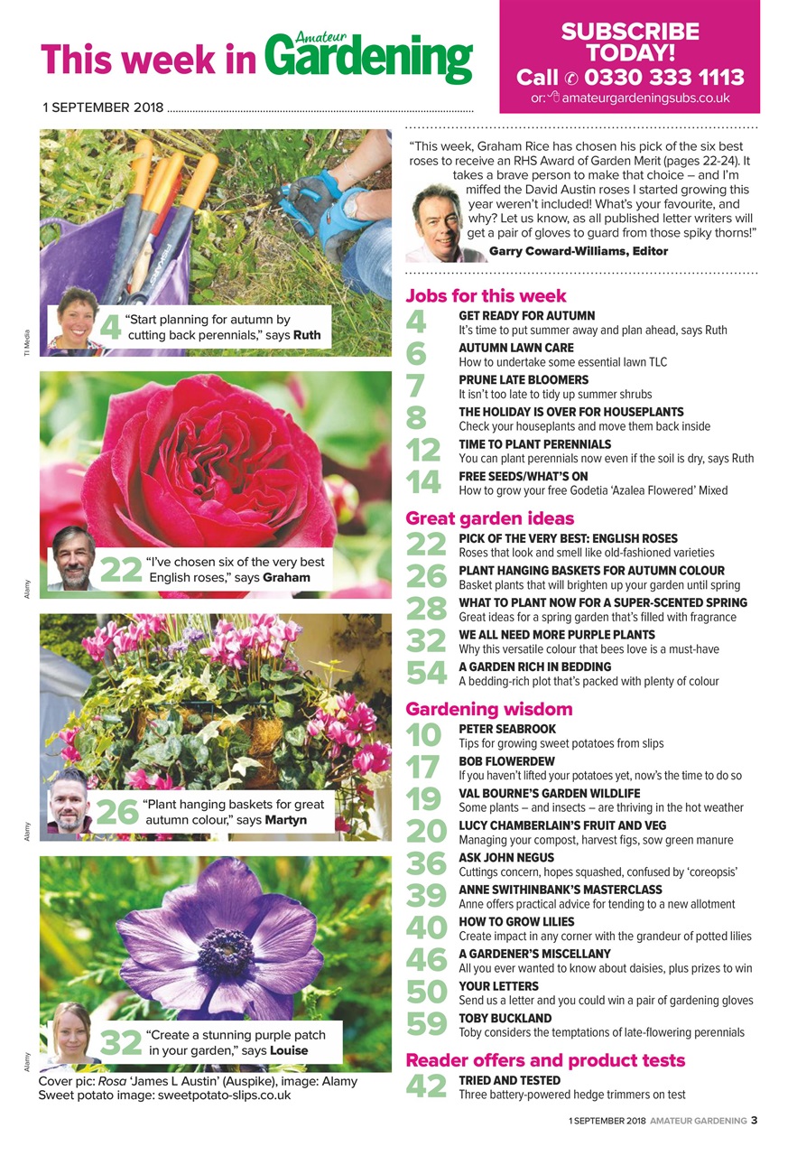 Amateur Gardening Preview Pages
