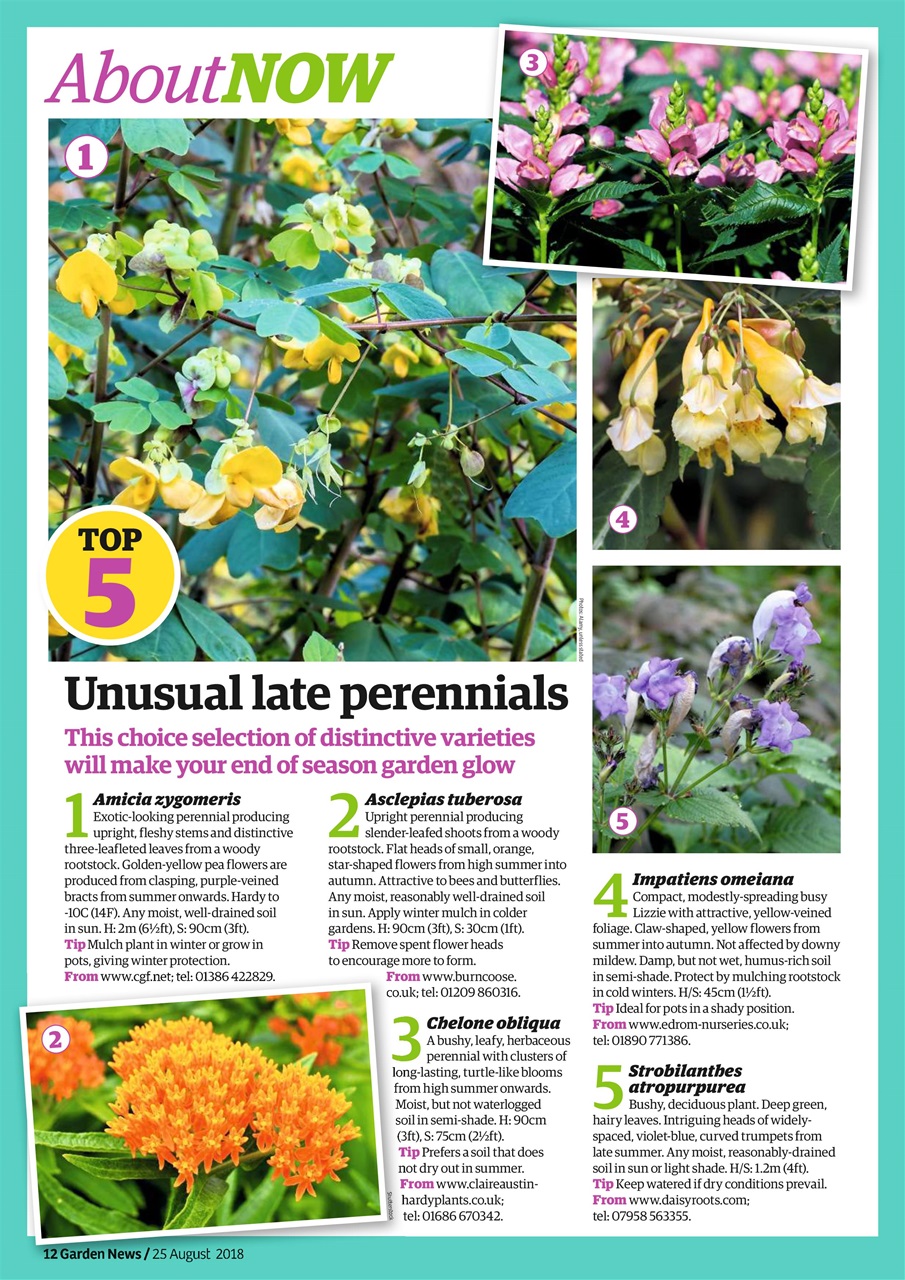 Garden News Preview Pages