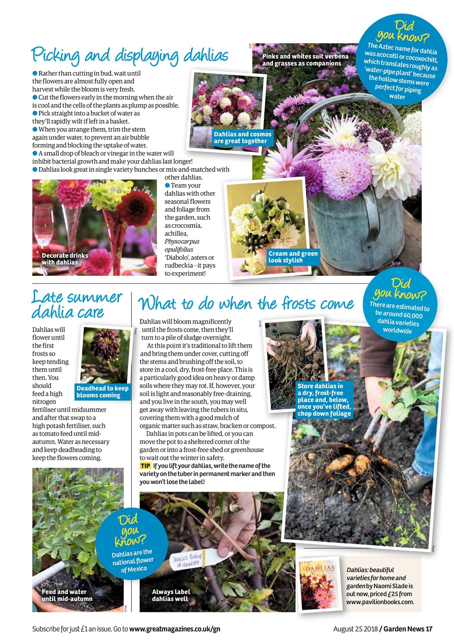Garden News Preview Pages