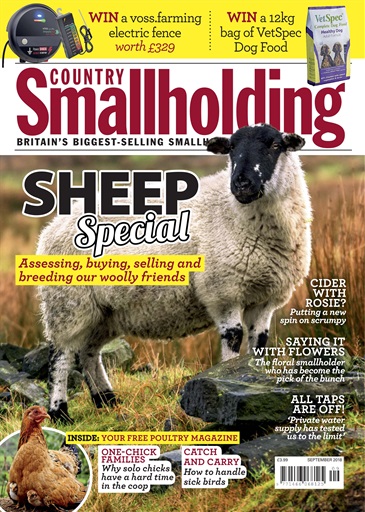 The Country Smallholder issue 