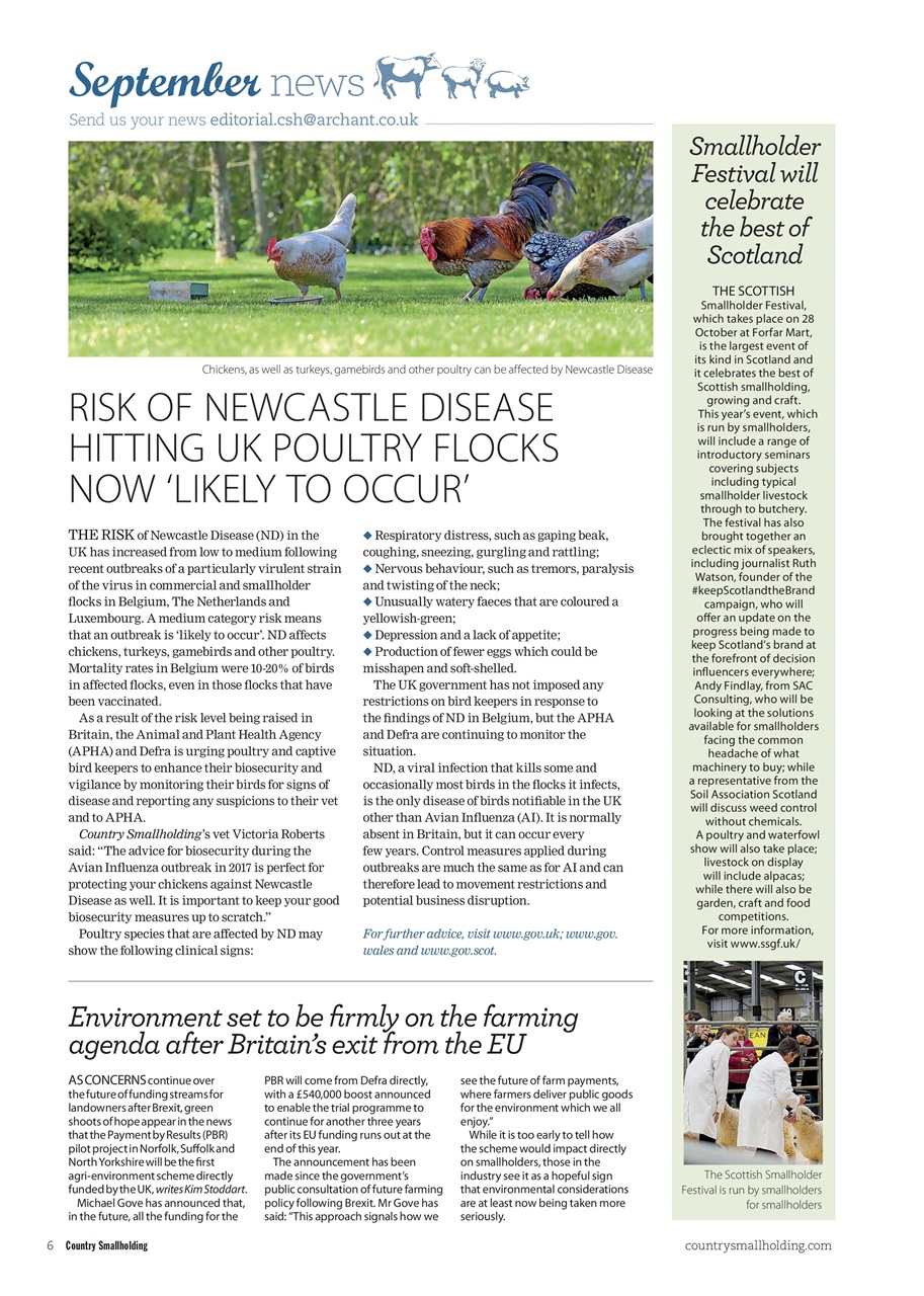 The Country Smallholder Preview Pages
