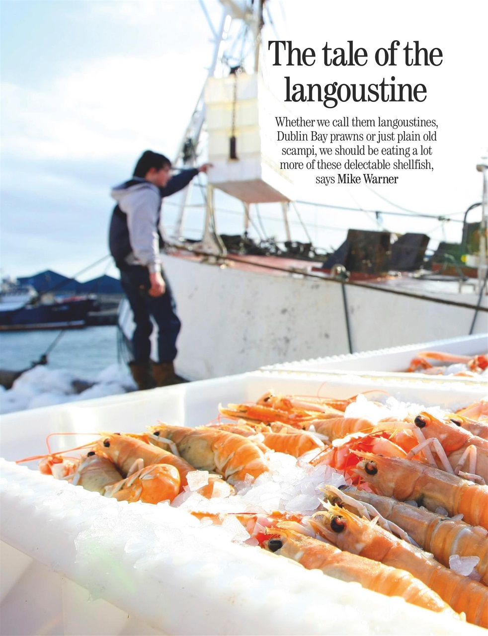 Country Life Preview Pages