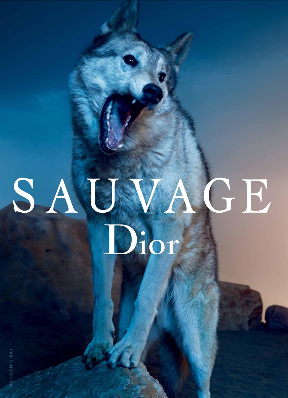 Fashion Magazine Preview Pages