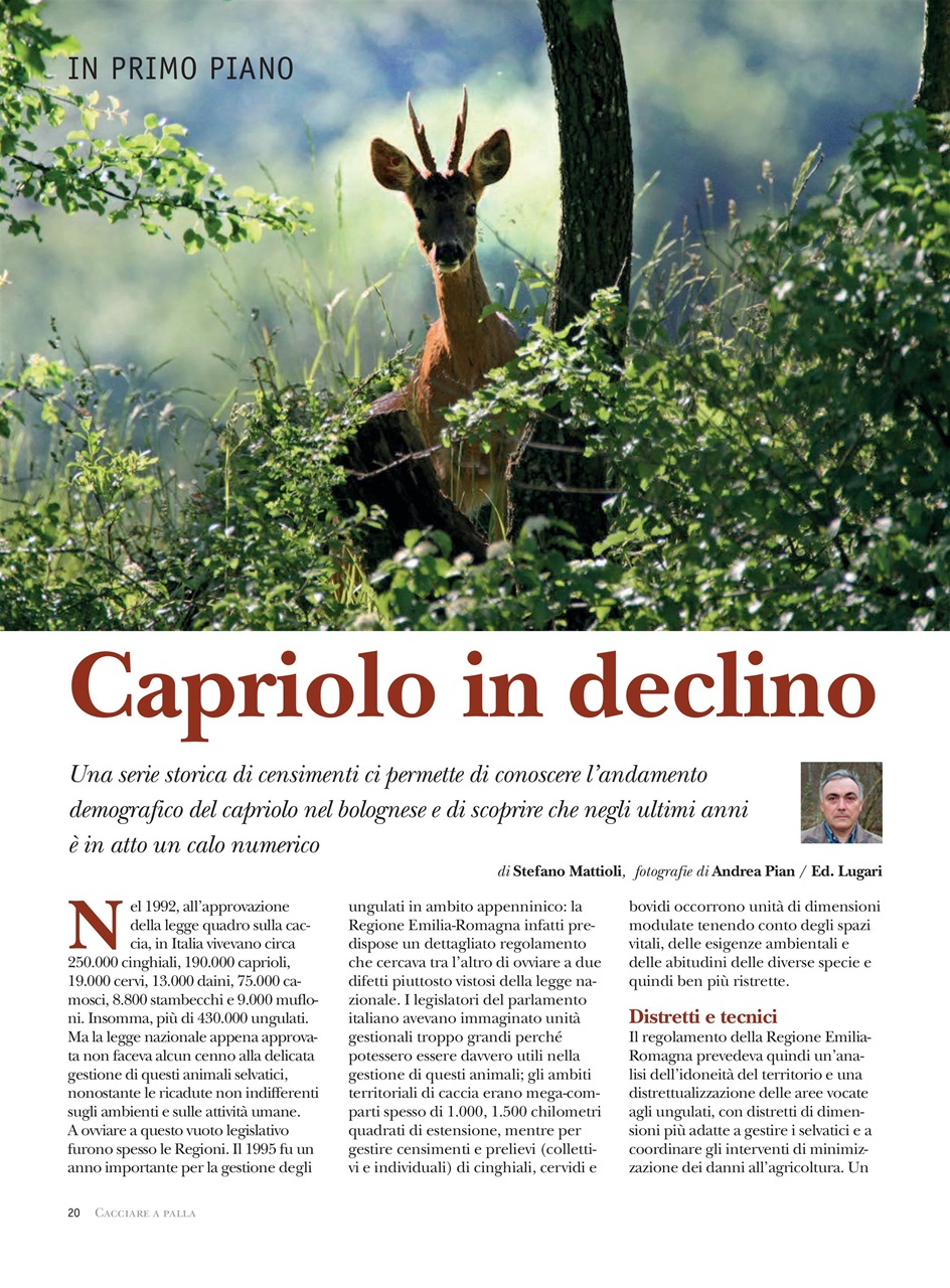 Caccia Magazine Preview Pages