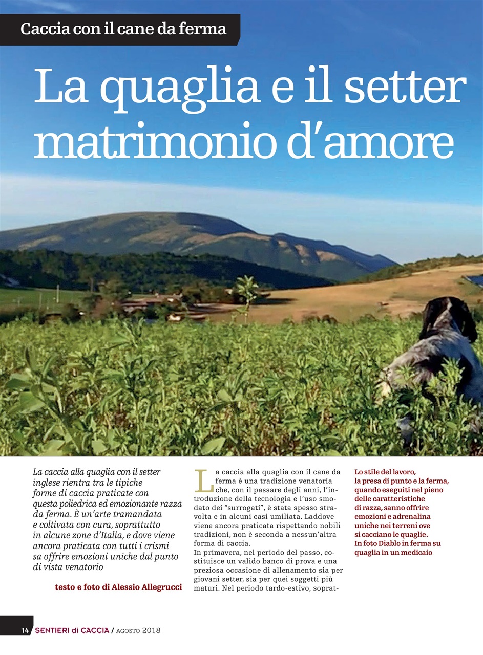 SENTIERI DI CACCIA Preview Pages