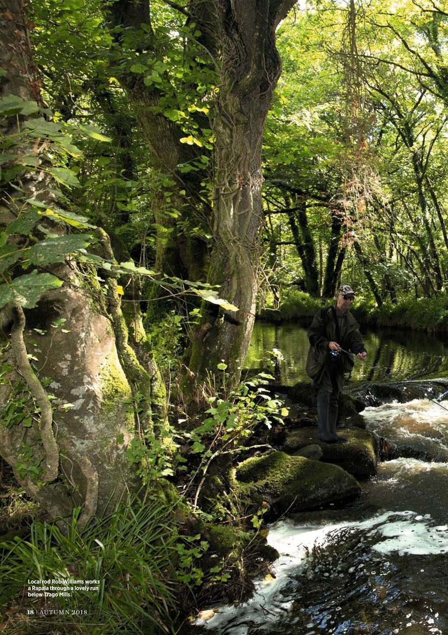 Trout & Salmon Preview Pages