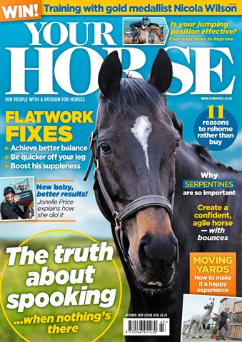 Your Horse issue October 2018