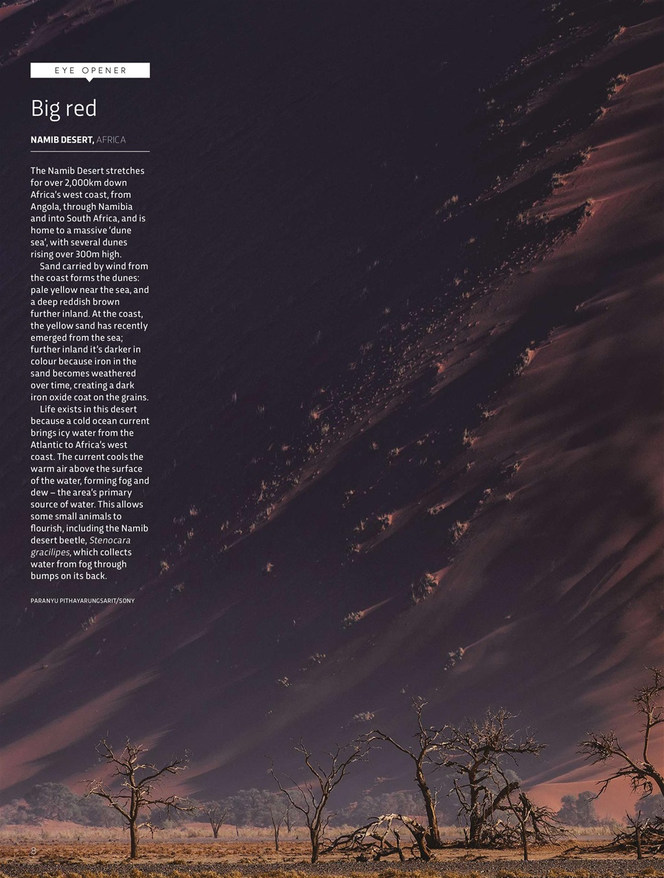 BBC Science Focus Magazine Preview Pages