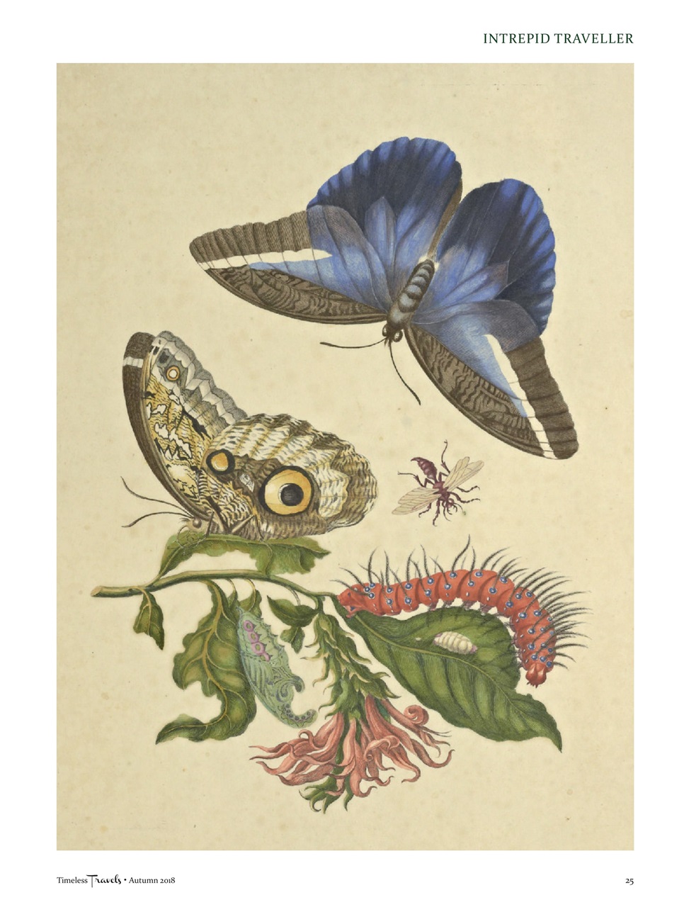 Timeless Travels Preview Pages