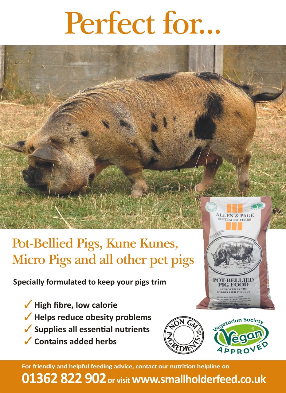 Practical Pigs Preview Pages