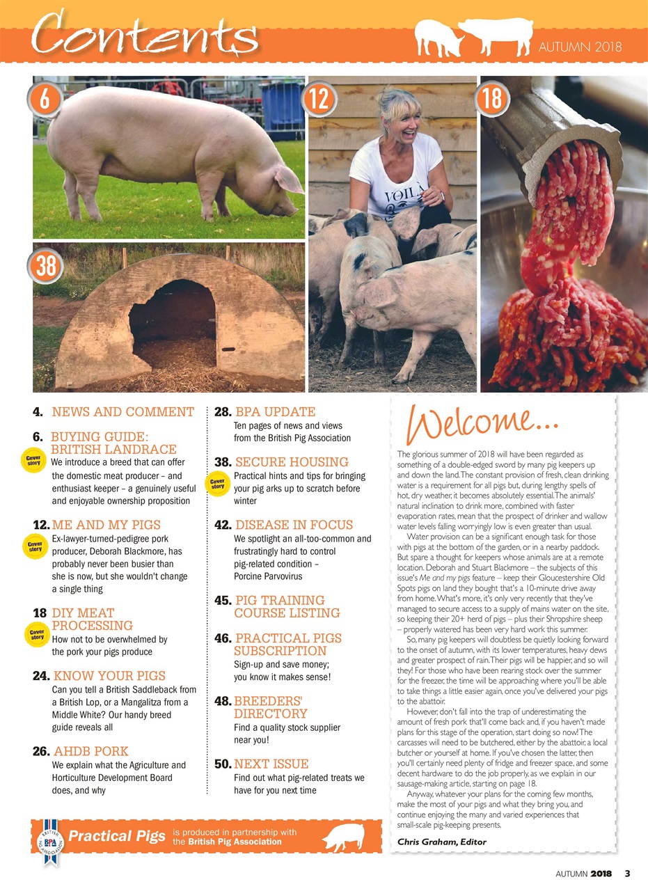 Practical Pigs Preview Pages