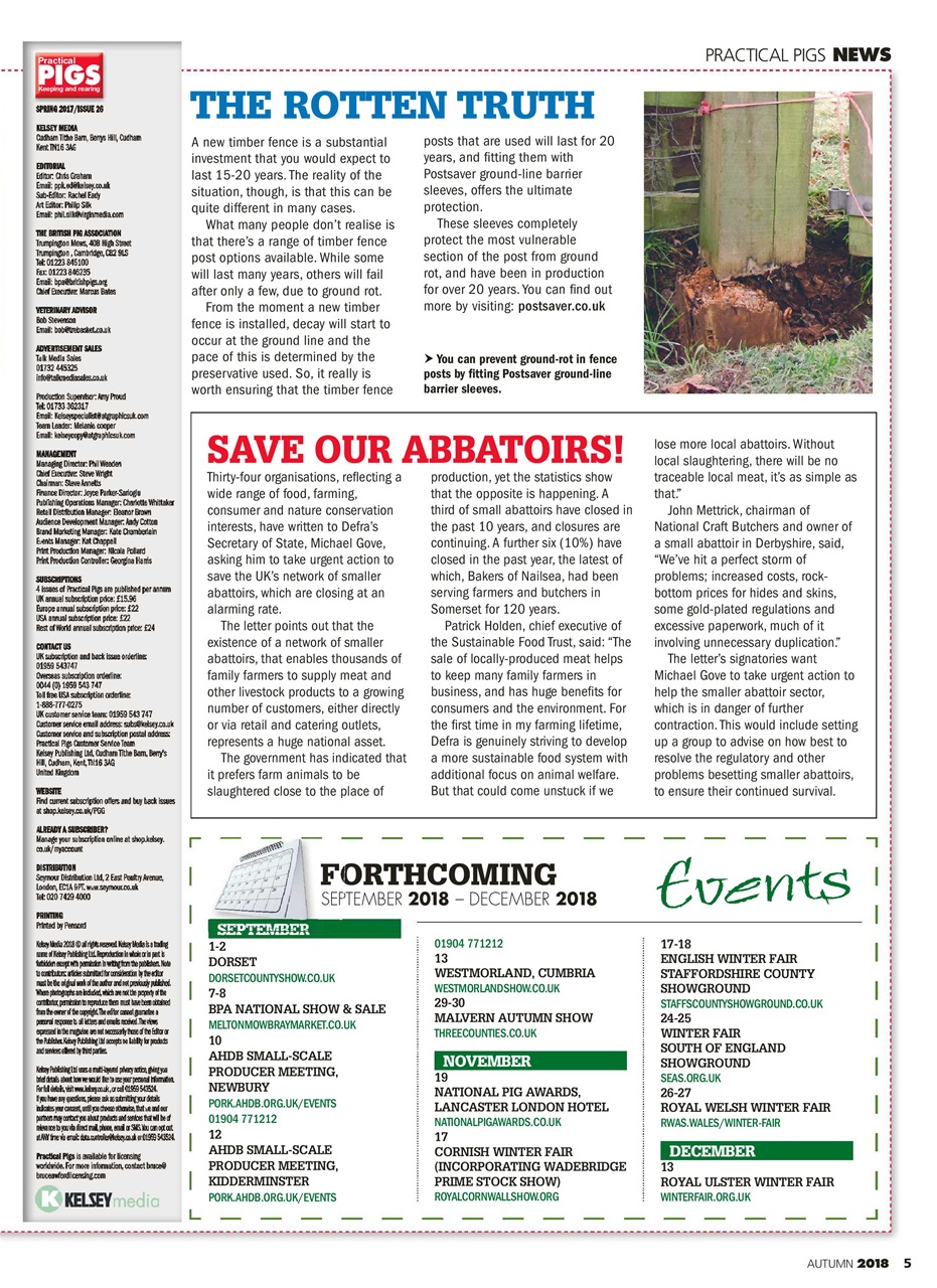 Practical Pigs Preview Pages