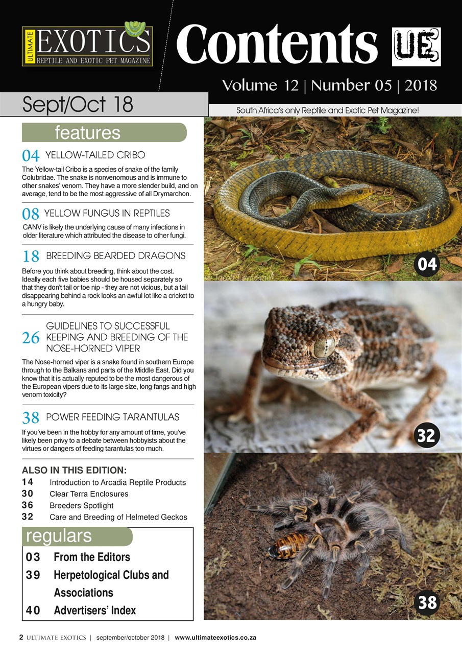 Ultimate Exotics Preview Pages