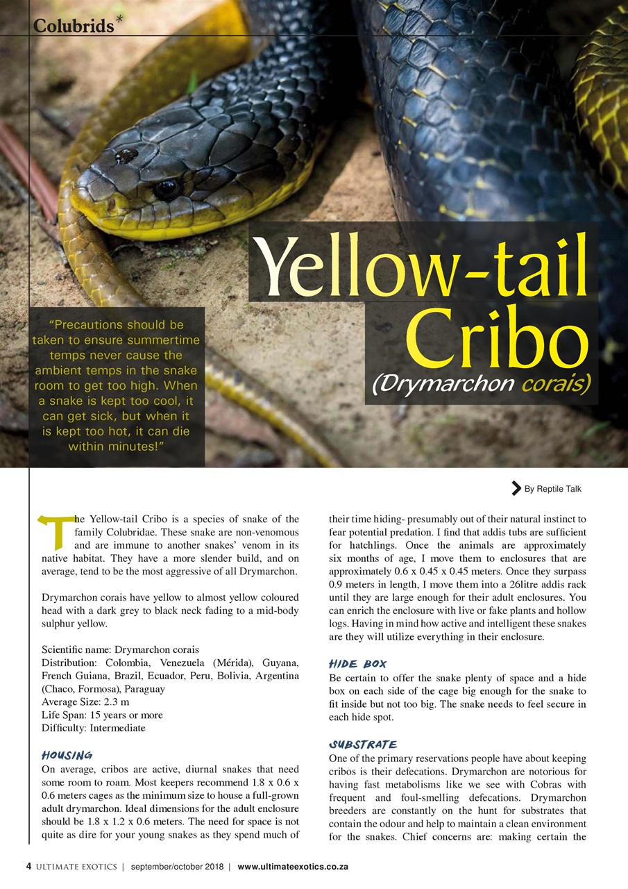 Ultimate Exotics Preview Pages