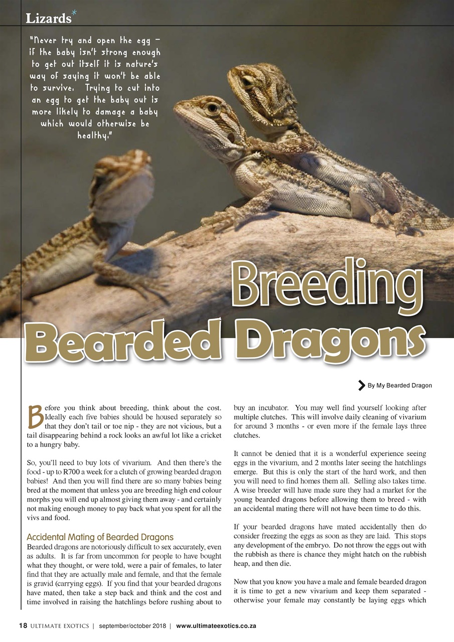 Ultimate Exotics Preview Pages