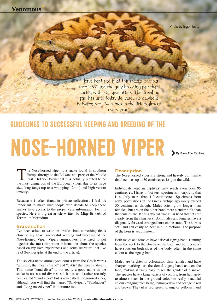 Ultimate Exotics Preview Pages