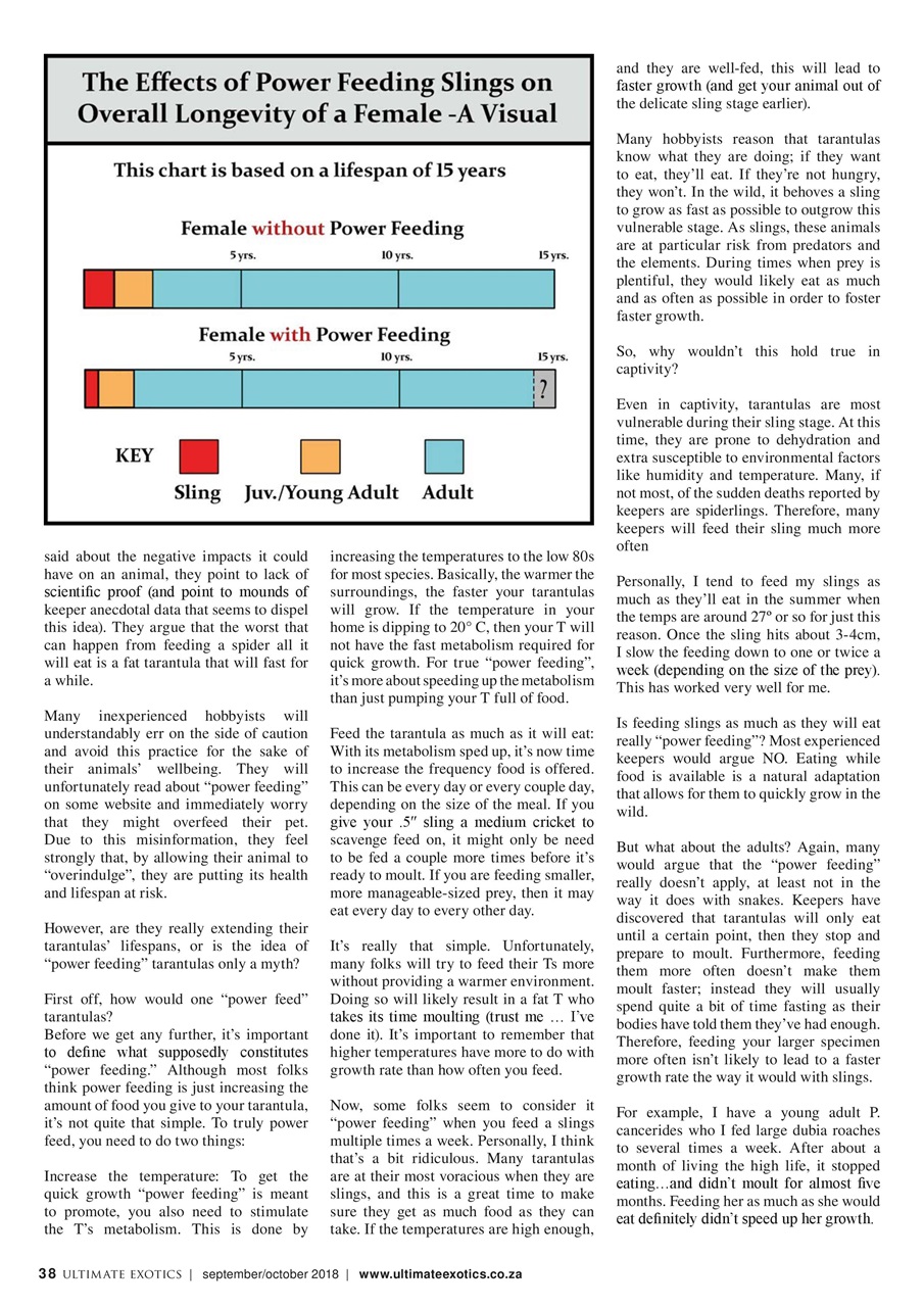 Ultimate Exotics Preview Pages