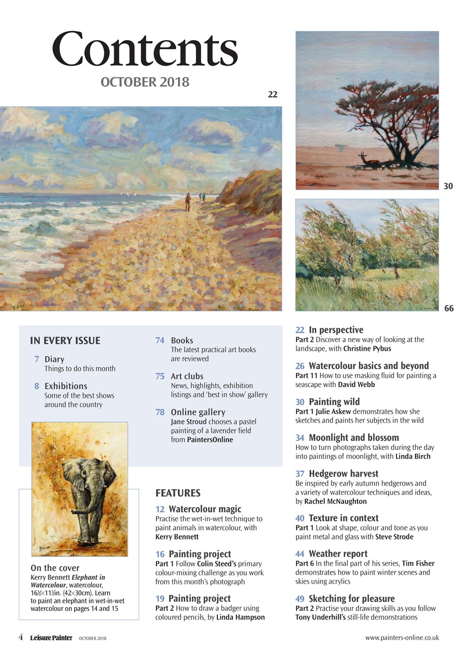 Leisure Painter & The Artist Preview Pages