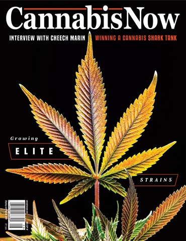 Cannabis Now issue Issue 32