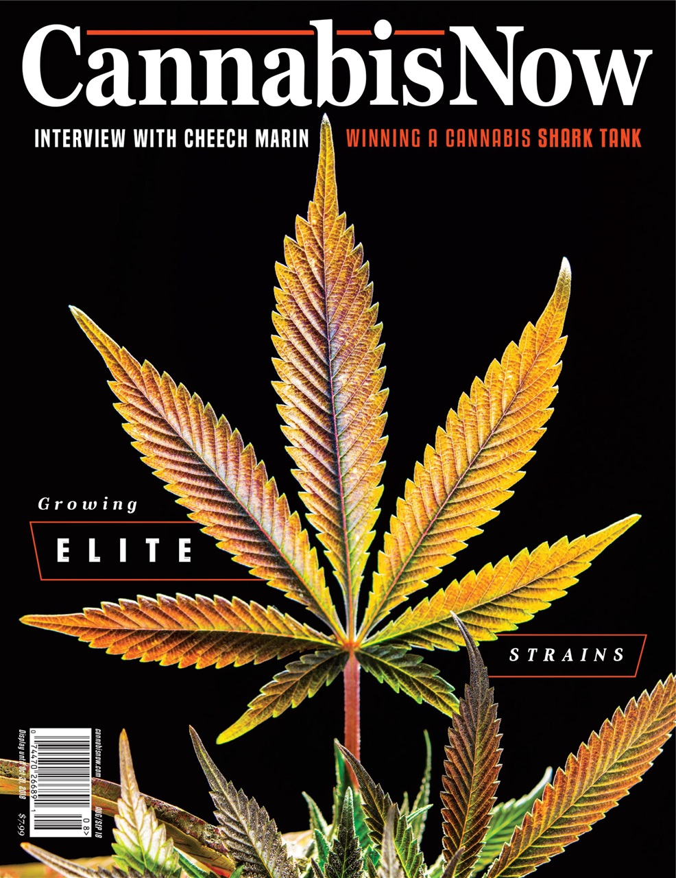 Cannabis Now Preview Pages