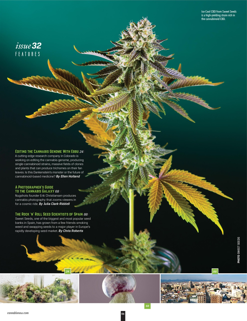 Cannabis Now Preview Pages