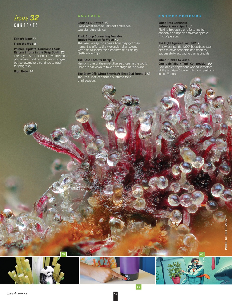 Cannabis Now Preview Pages