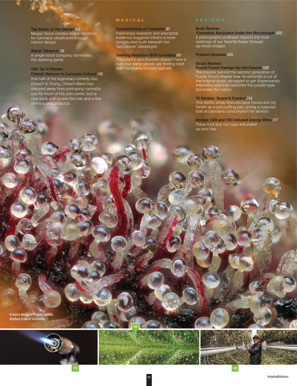 Cannabis Now Preview Pages