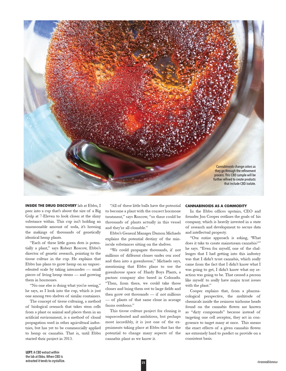 Cannabis Now Preview Pages