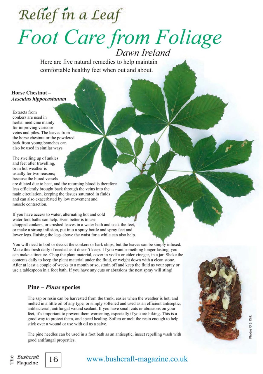 Bushcraft Magazine Preview Pages