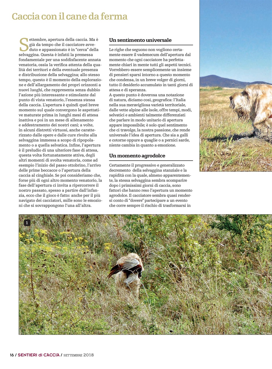 SENTIERI DI CACCIA Preview Pages