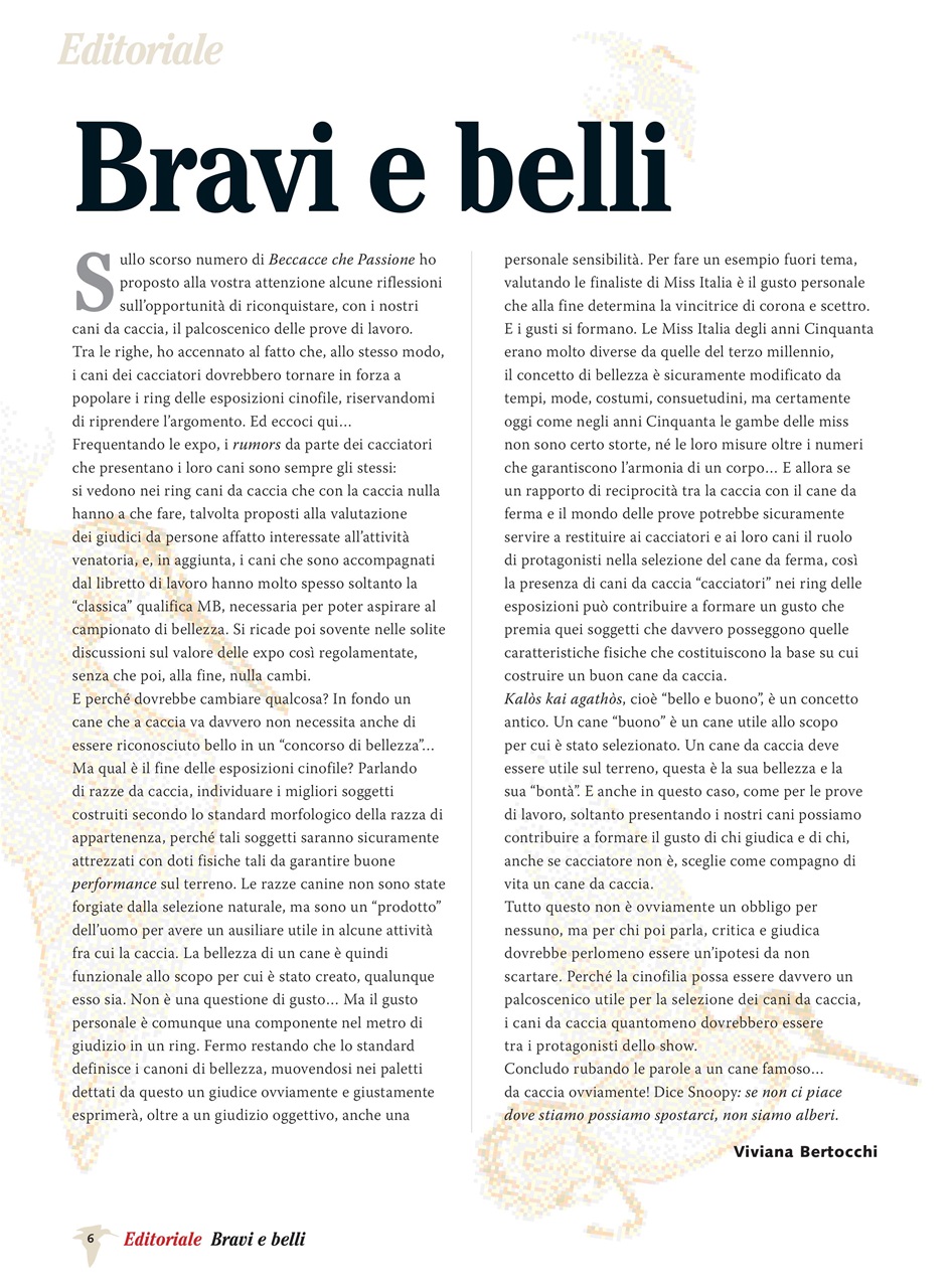 BECCACCE CHE PASSIONE Preview Pages