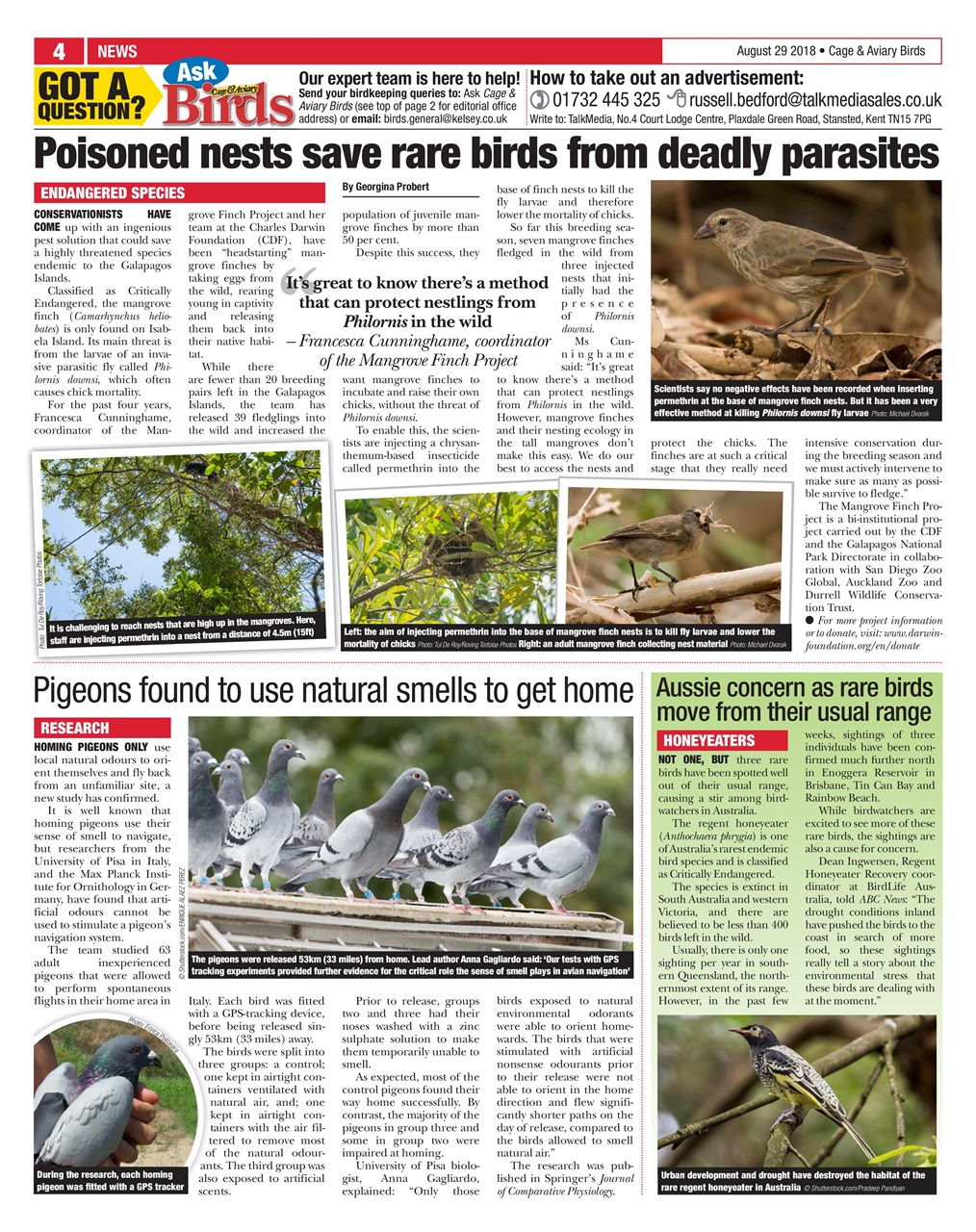 Cage & Aviary Birds Preview Pages