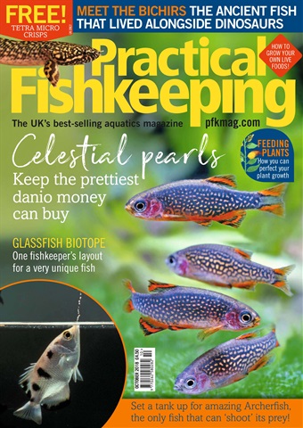 Practical Fishkeeping issue October 2018