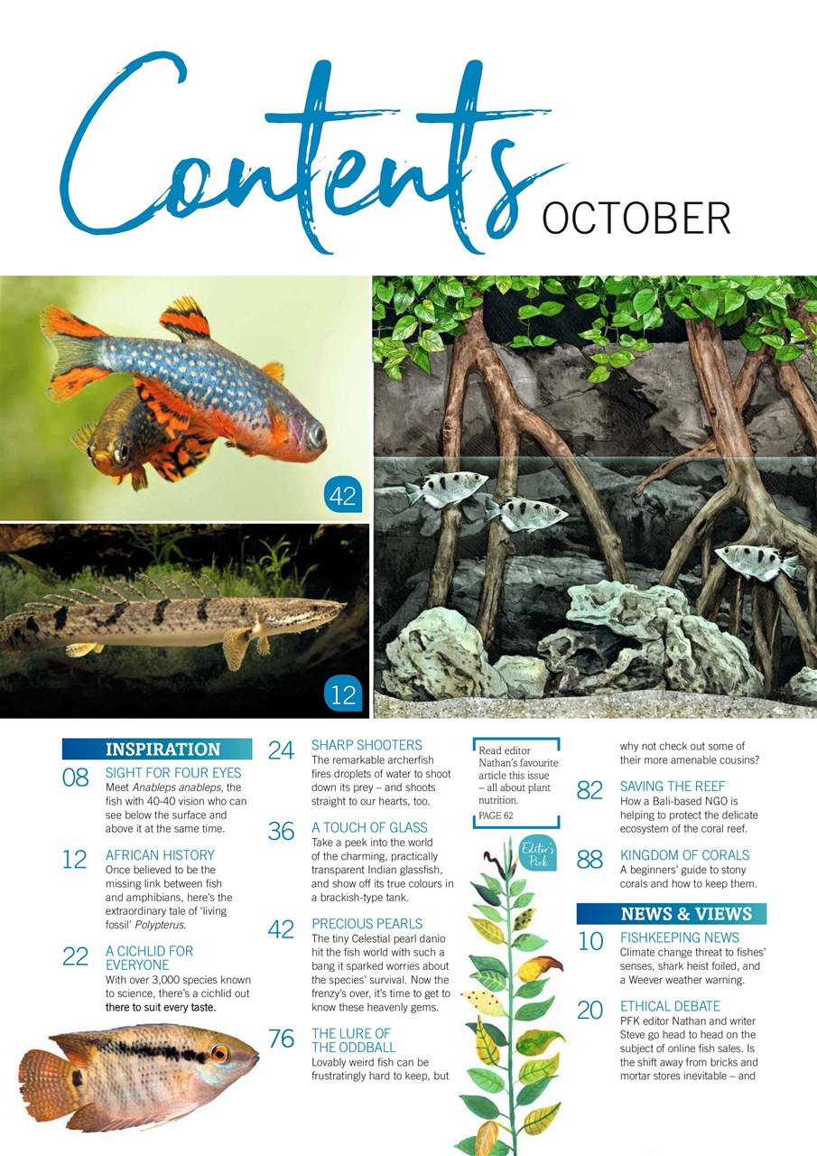 Practical Fishkeeping Preview Pages