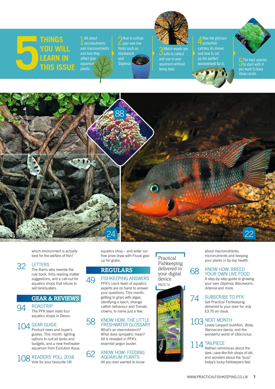 Practical Fishkeeping Preview Pages