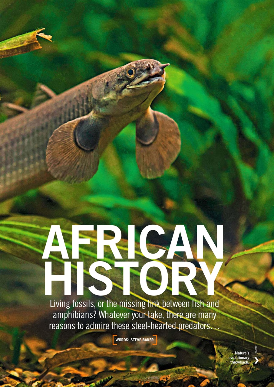 Practical Fishkeeping Preview Pages