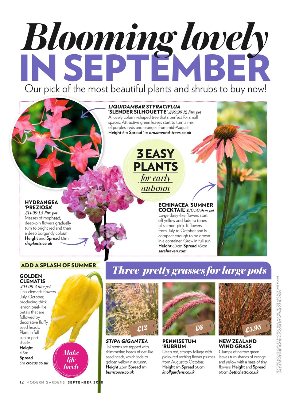 Modern Gardens Preview Pages