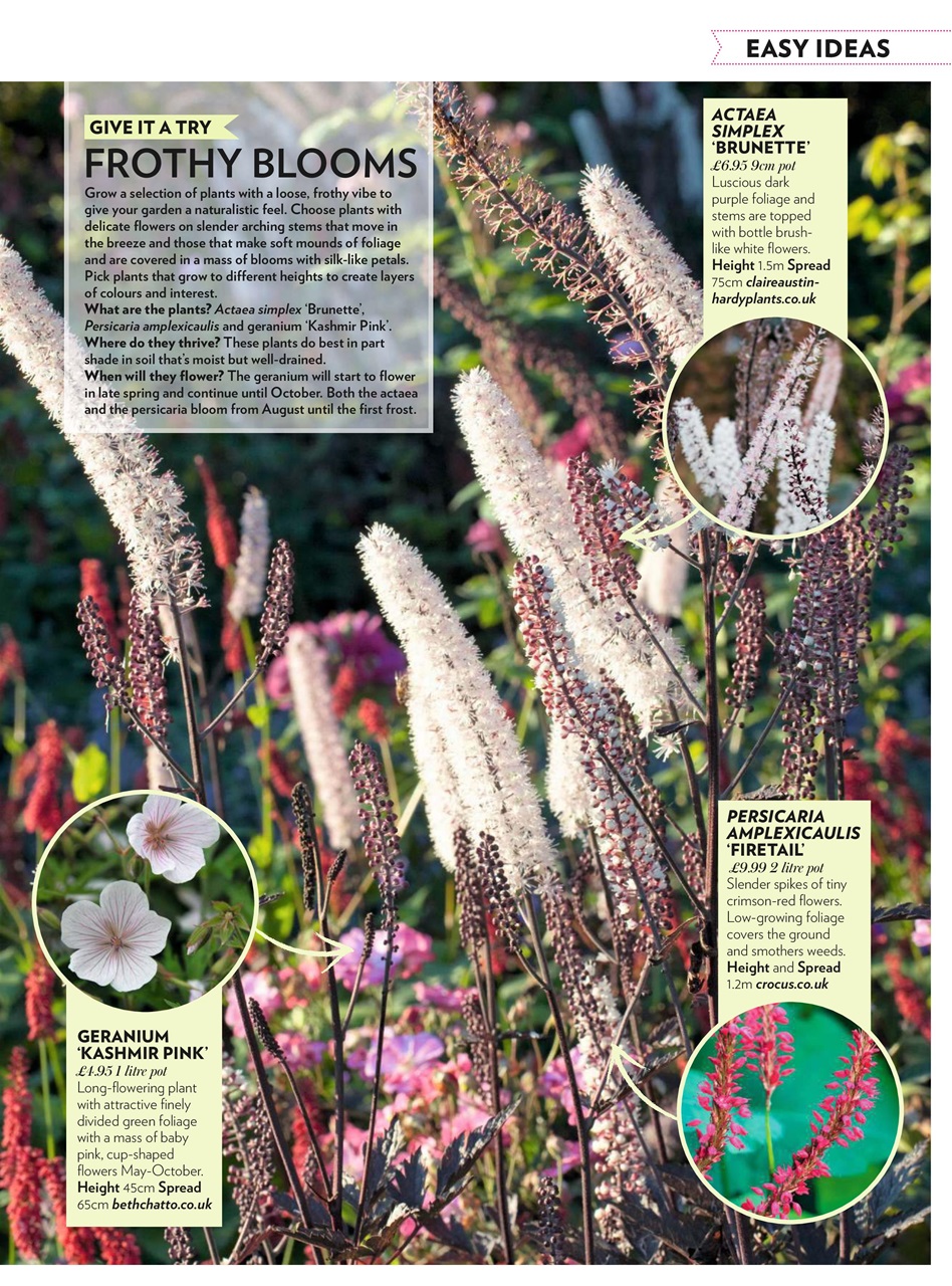 Modern Gardens Preview Pages