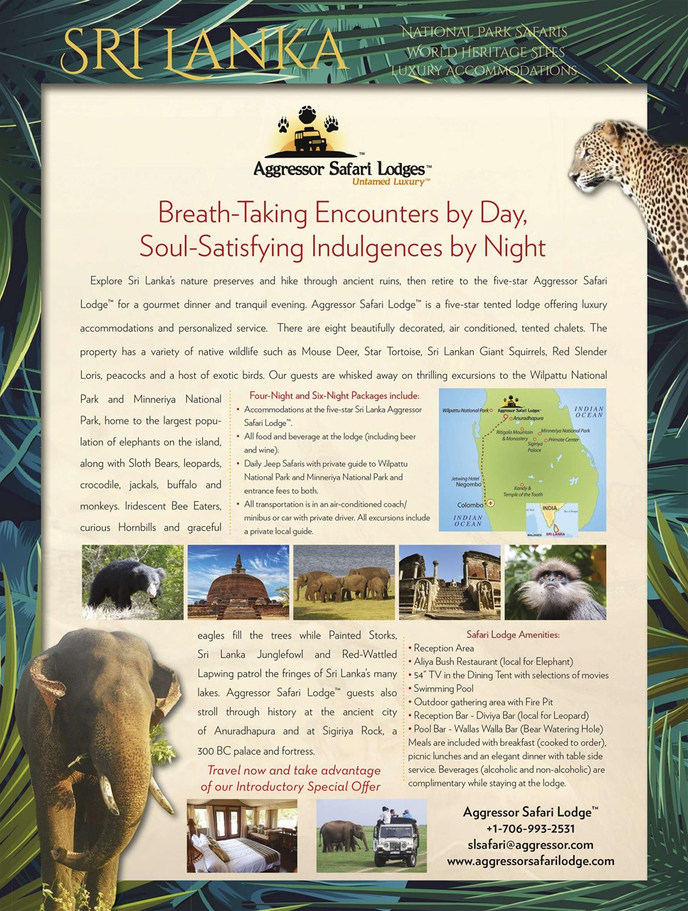 BBC Wildlife Magazine Preview Pages