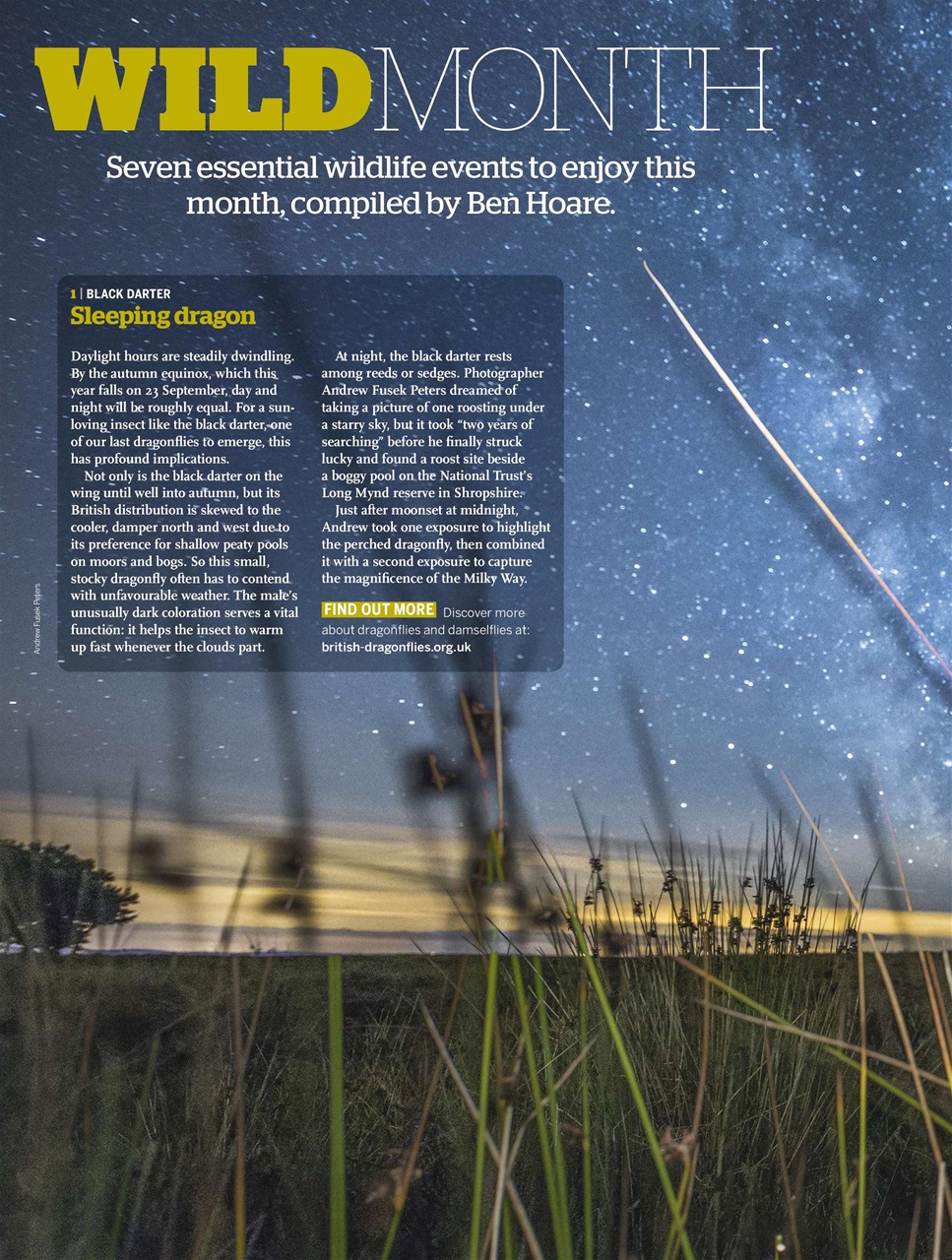 BBC Wildlife Magazine Preview Pages