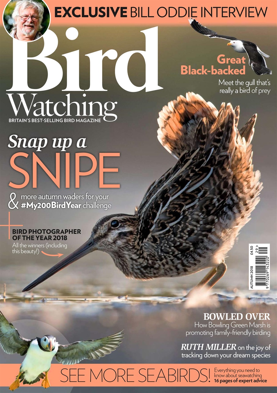 Bird Watching Preview Pages