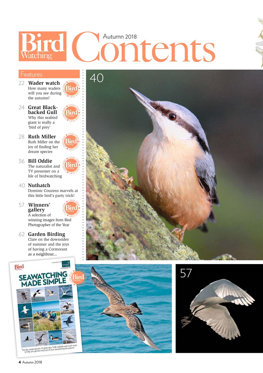 Bird Watching Preview Pages