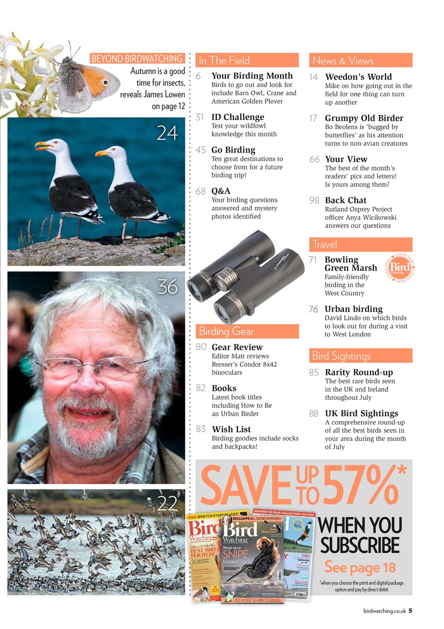 Bird Watching Preview Pages