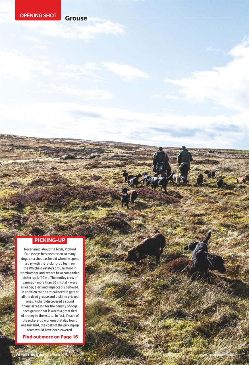 Sporting Gun Preview Pages