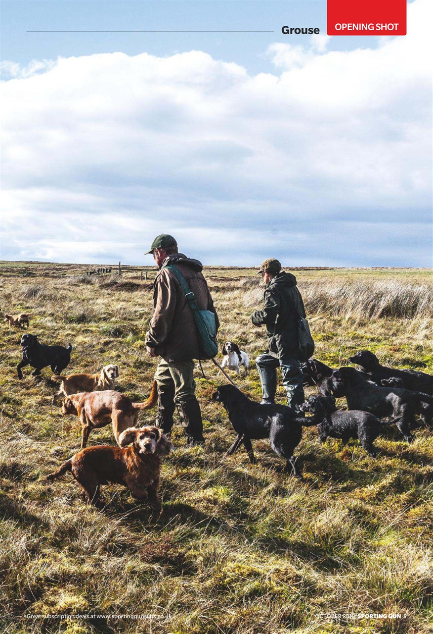 Sporting Gun Preview Pages