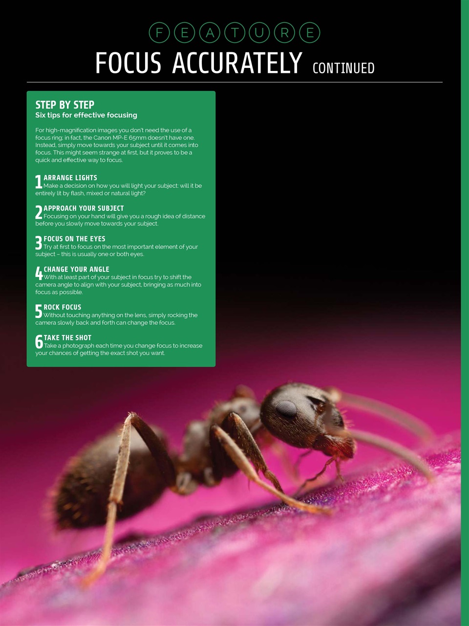 Photography Week Preview Pages