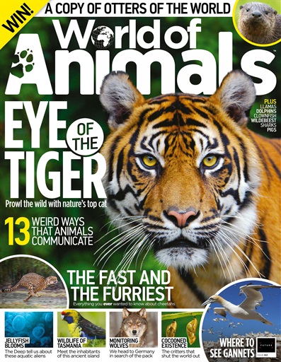 World of Animals issue 