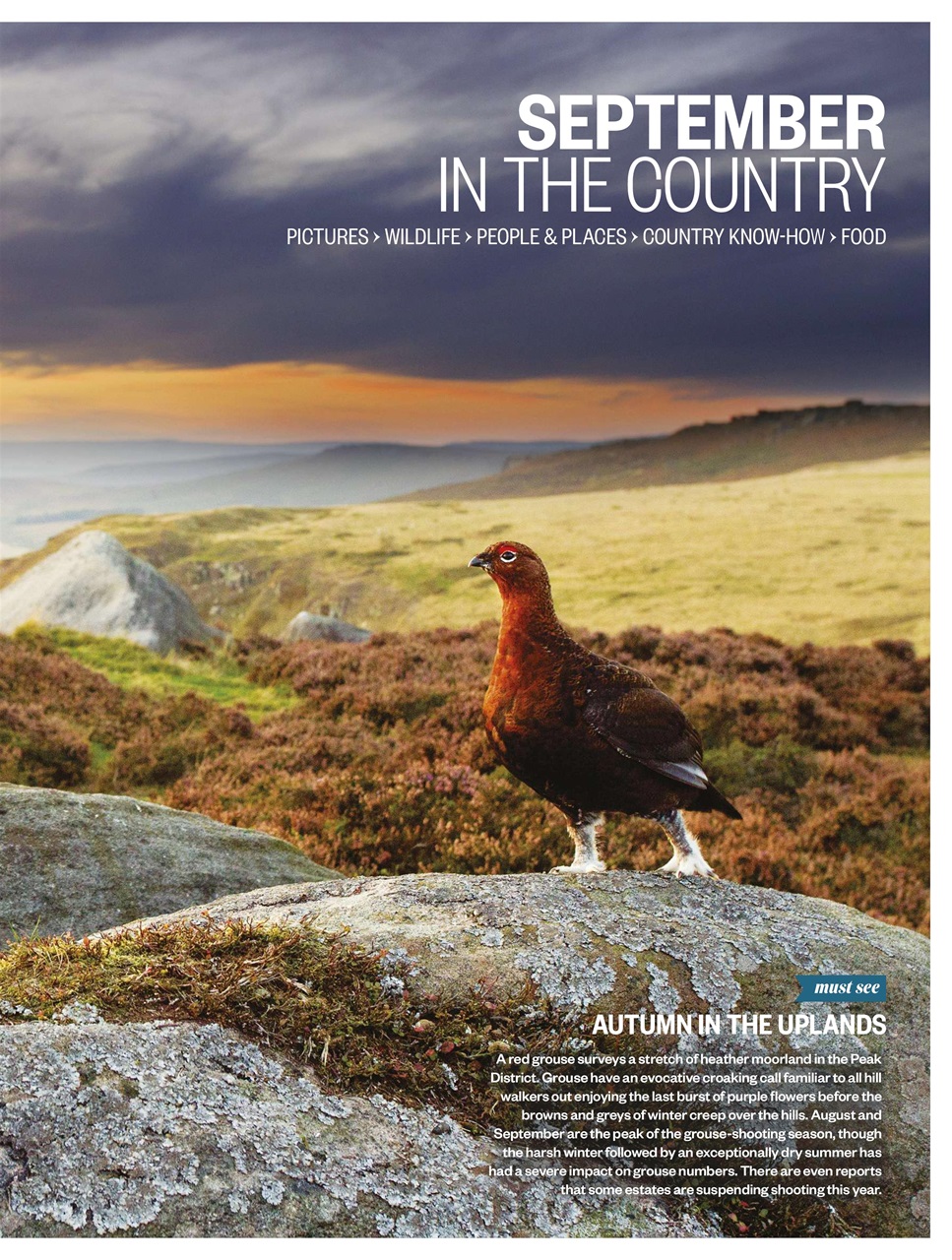 BBC Countryfile Magazine Preview Pages